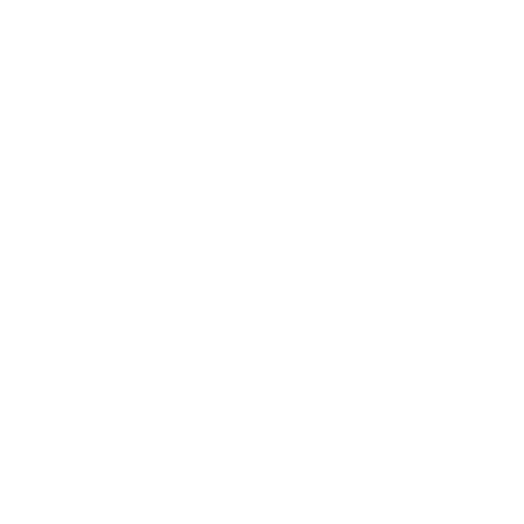 tiktok Icon